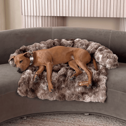 Pelsbarn Luxurious Sofa Bed