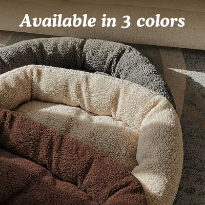 Teddy Sofa Bed
