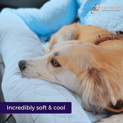 Cooling Car Bed