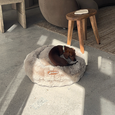 Luxurious Donut Bed