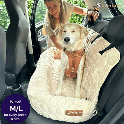 Cooling Car Bed