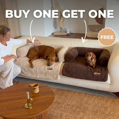 Teddy Sofa Bed