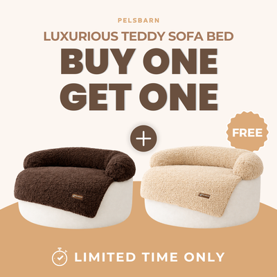 Teddy Sofa Bed