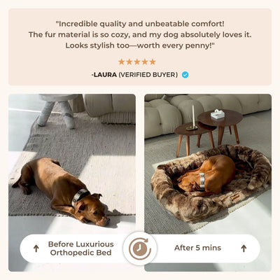 Luxurious Orthopedic Bed