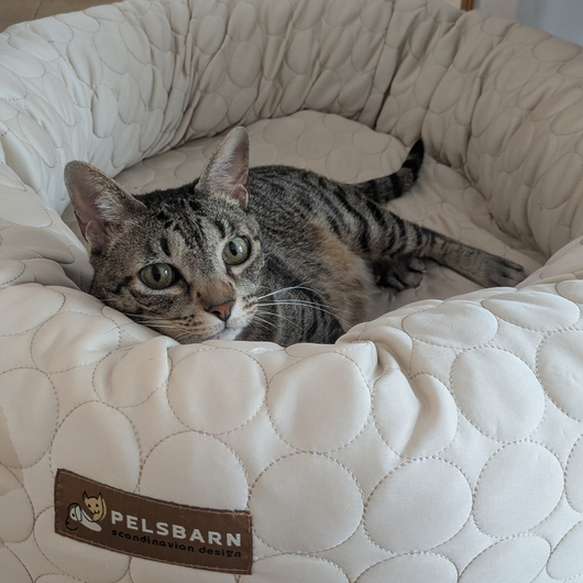 Cooling Donut Bed