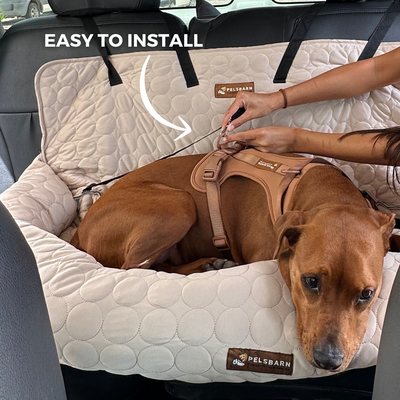 Cooling Car Bed