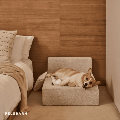 The Real Dog Bed