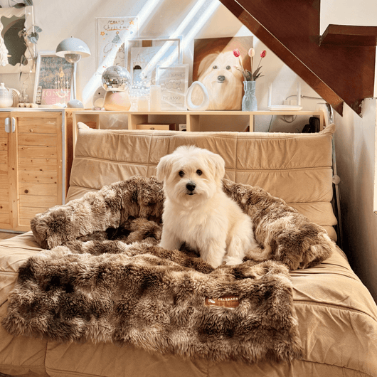 Pelsbarn Luxurious Sofa Bed ( 1+1 )