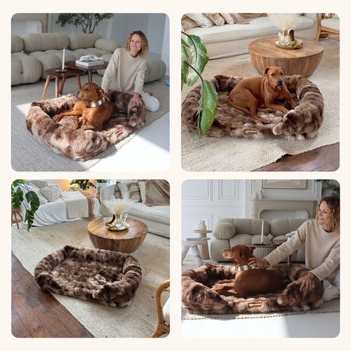 Luxurious Orthopedic Bed