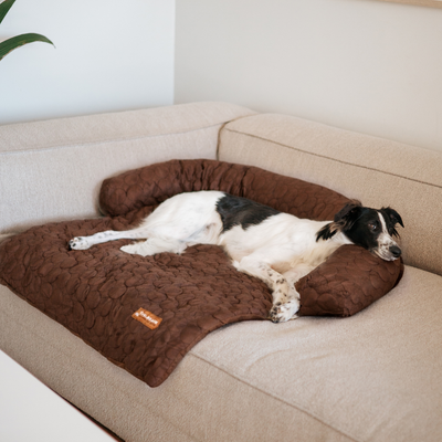 Cooling Sofa Bed