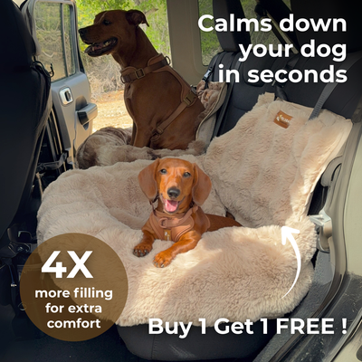 Luxurious Cozy Car Bed