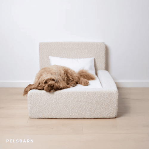 The Real Dog Bed
