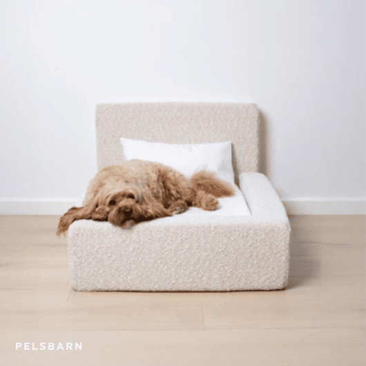 The Real Dog Bed