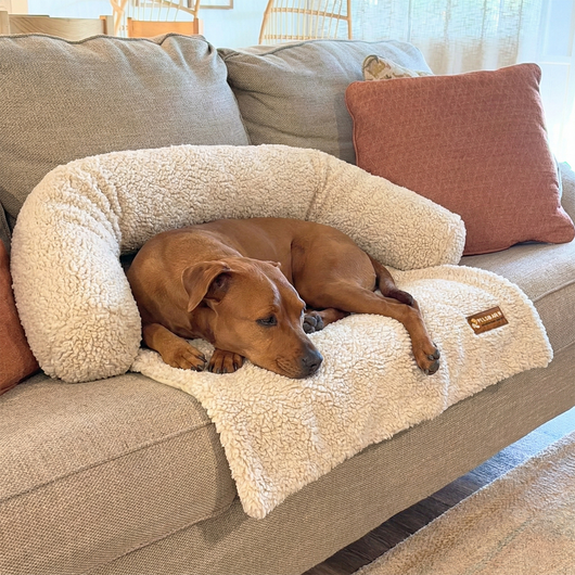 Teddy Sofa Bed
