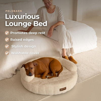 New: The Science of Canine Comfort