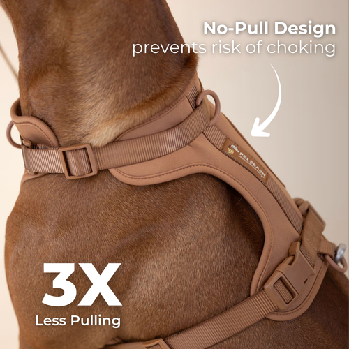 Pelsbarn Harness 1.0