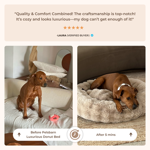 Luxurious Donut Bed