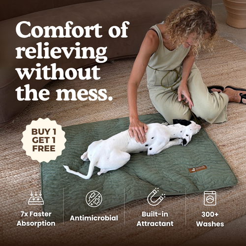 Premium Reusable Pee Pad