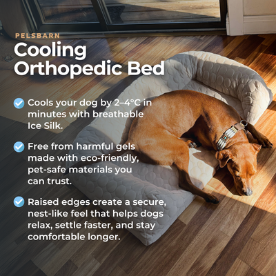 Cooling Orthopedic Bed