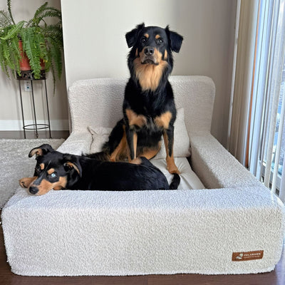 The Real Dog Bed + Free Calming Blanket