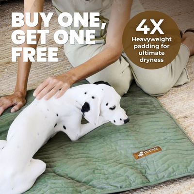 Premium Reusable Pee Pad