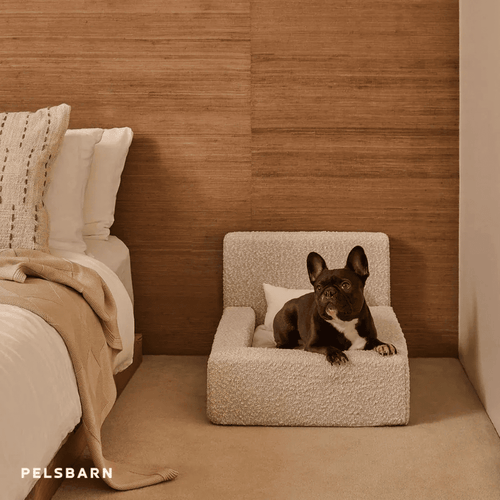 REAL orthopedic bed for dogs (including mattress and pillow)