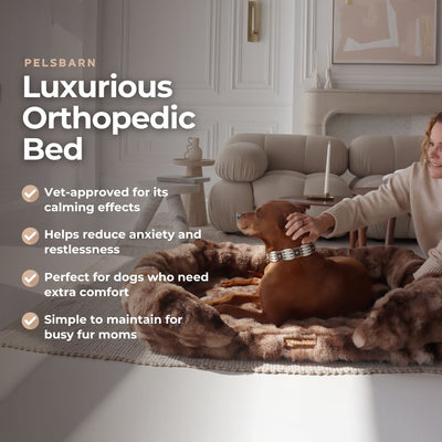 Luxurious Orthopedic Bed