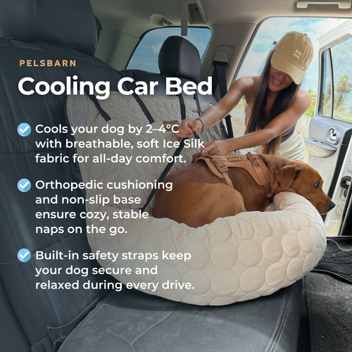 Cooling Car Bed