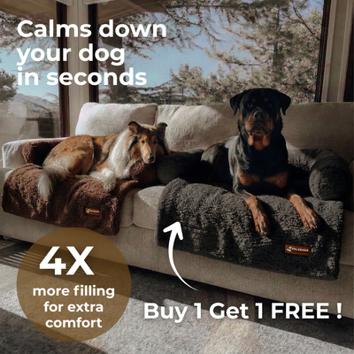 Teddy Sofa Bed