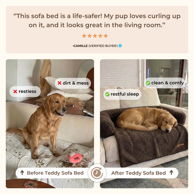 Teddy Sofa Bed