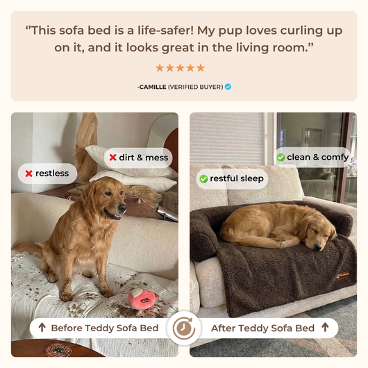 Teddy Sofa Bed