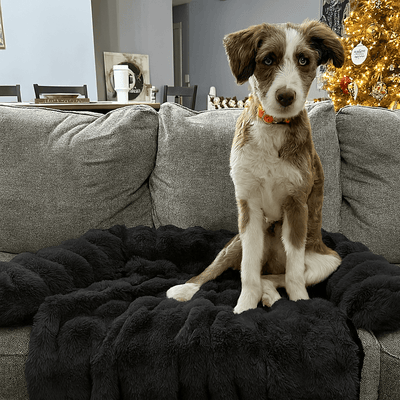 Pelsbarn Luxurious Sofa Bed ( 1+1 )