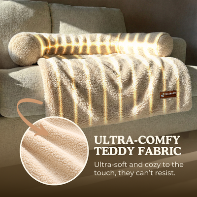 Teddy Sofa Bed
