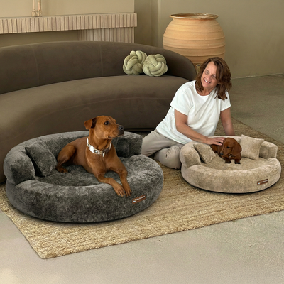 Cloud Velvet Bed