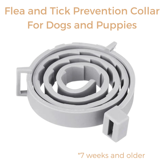 Anti Tick & Flea Collar