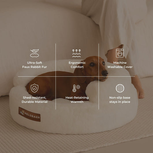 New: The Science of Canine Comfort
