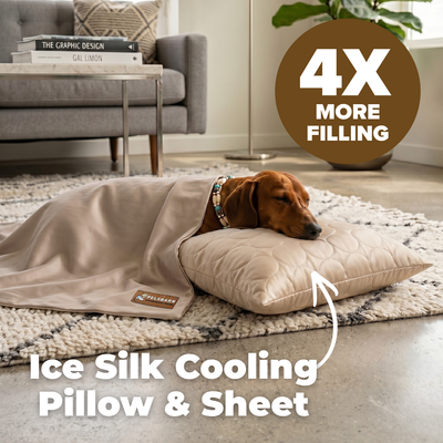 Cooling Sheet + Cooling Pillow