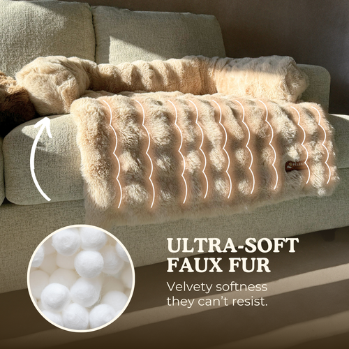 Pelsbarn Luxurious Sofa Bed ( 1+1 ) for Cats
