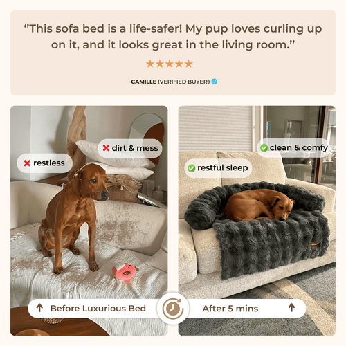 Pelsbarn Luxurious Sofa Bed ( 1+1 )