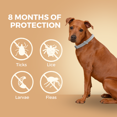 Natural Flea & Tick Prevention Collar