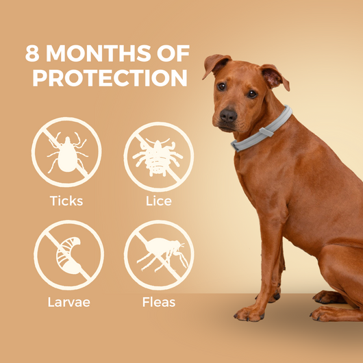 Natural Flea & Tick Prevention Collar