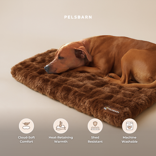 Luxurious Cuddle Calming Blanket ( 1+1 )