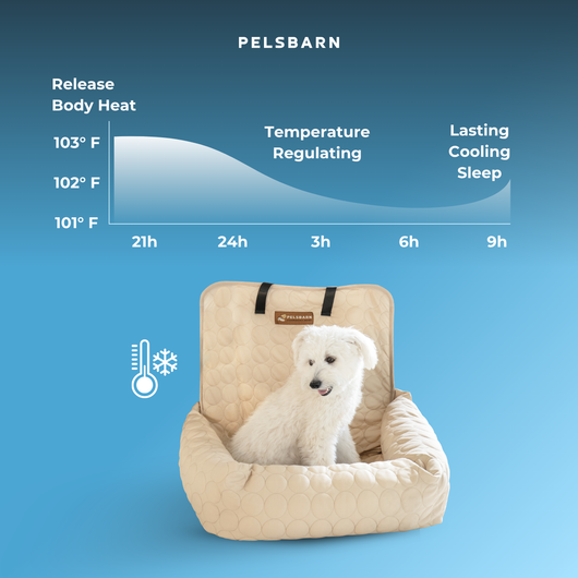 Cooling Car Bed