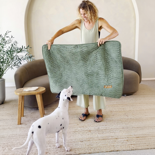 Premium Reusable Pee Pad