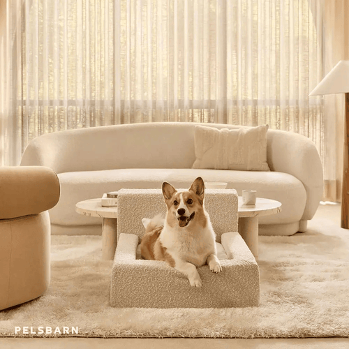 The Real Dog Bed