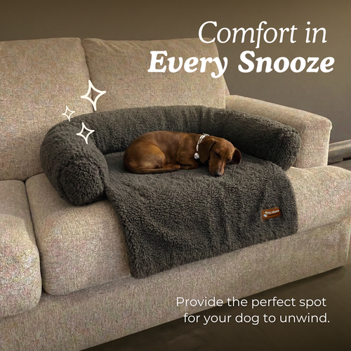 Teddy Sofa Bed