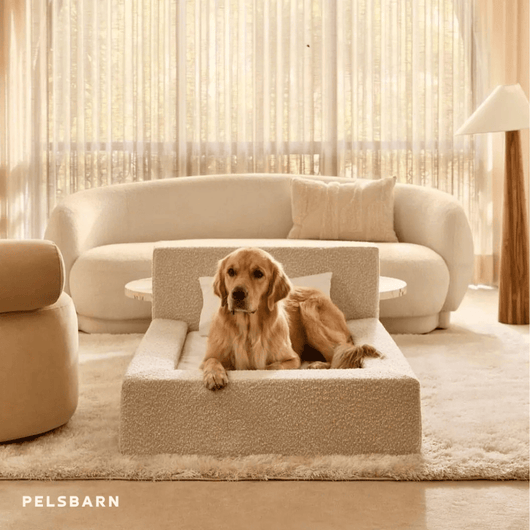 The Real Dog Bed