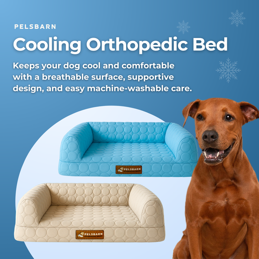 Cooling Orthopedic Bed