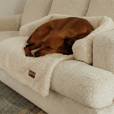 Teddy Sofa Bed