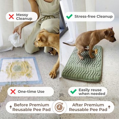 Premium Reusable Pee Pad